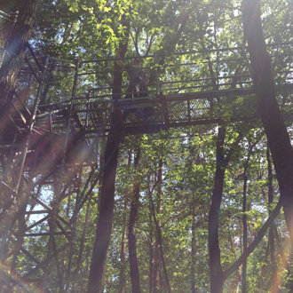 201305235.jpg